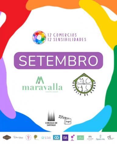 O comercio de Santiago MOSTRA O SEU COMPROMISO SOCIAL coa volta do proxecto “12 comercios, 12 sensibilidades” 2025